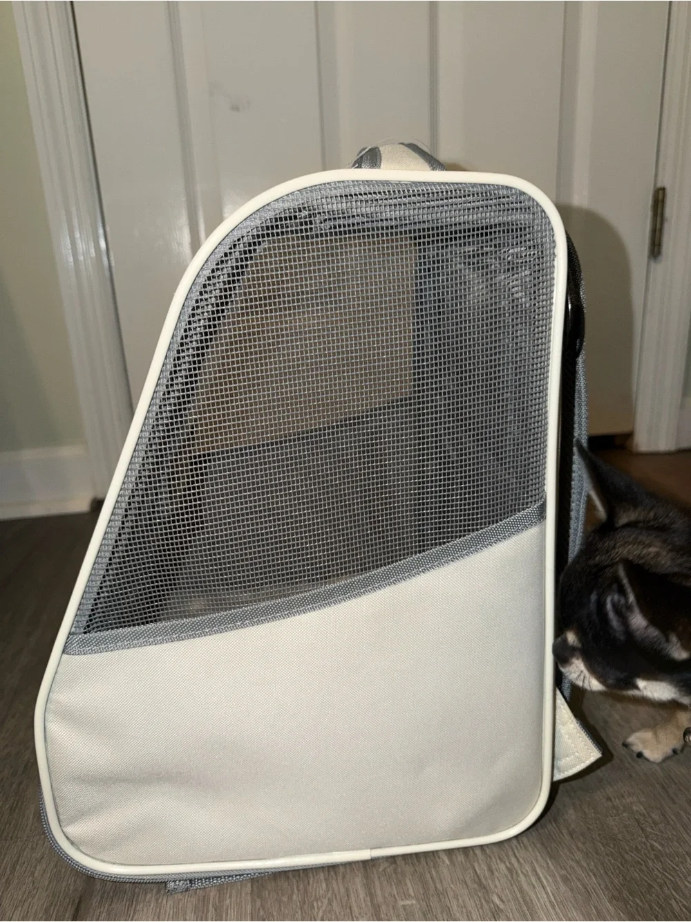 Tesla life dog or cat travel carrier